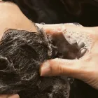 ヘッドスパ